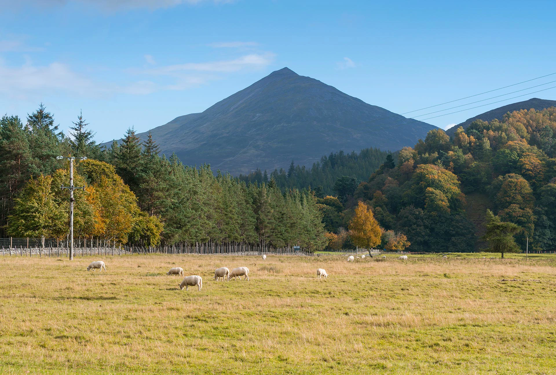 Hill and fields near Pitlcohry