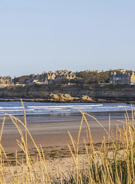 West Sands St Andrews