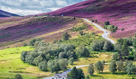 Dalwhinnie with purple heather on the hills